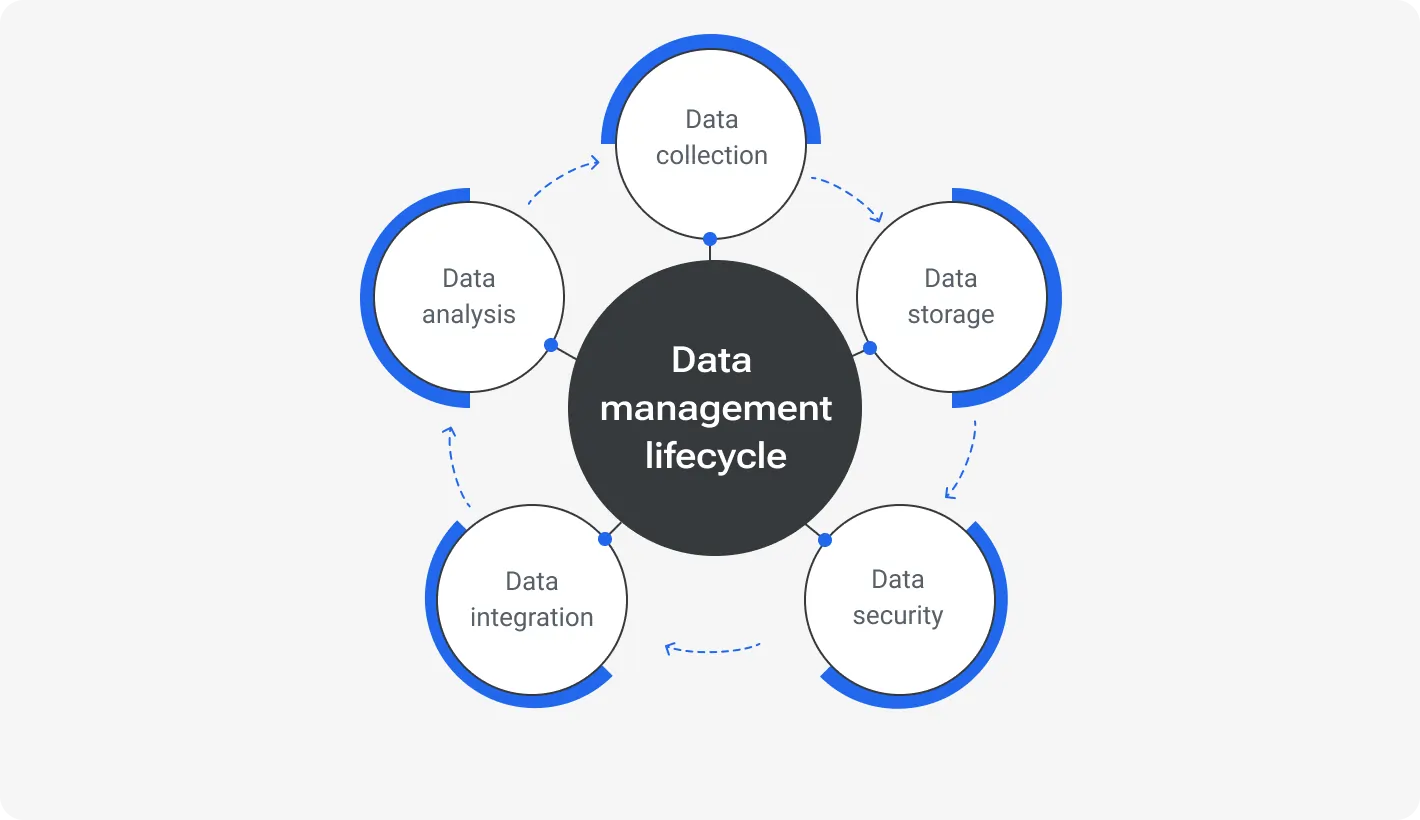 Data management lifecycle